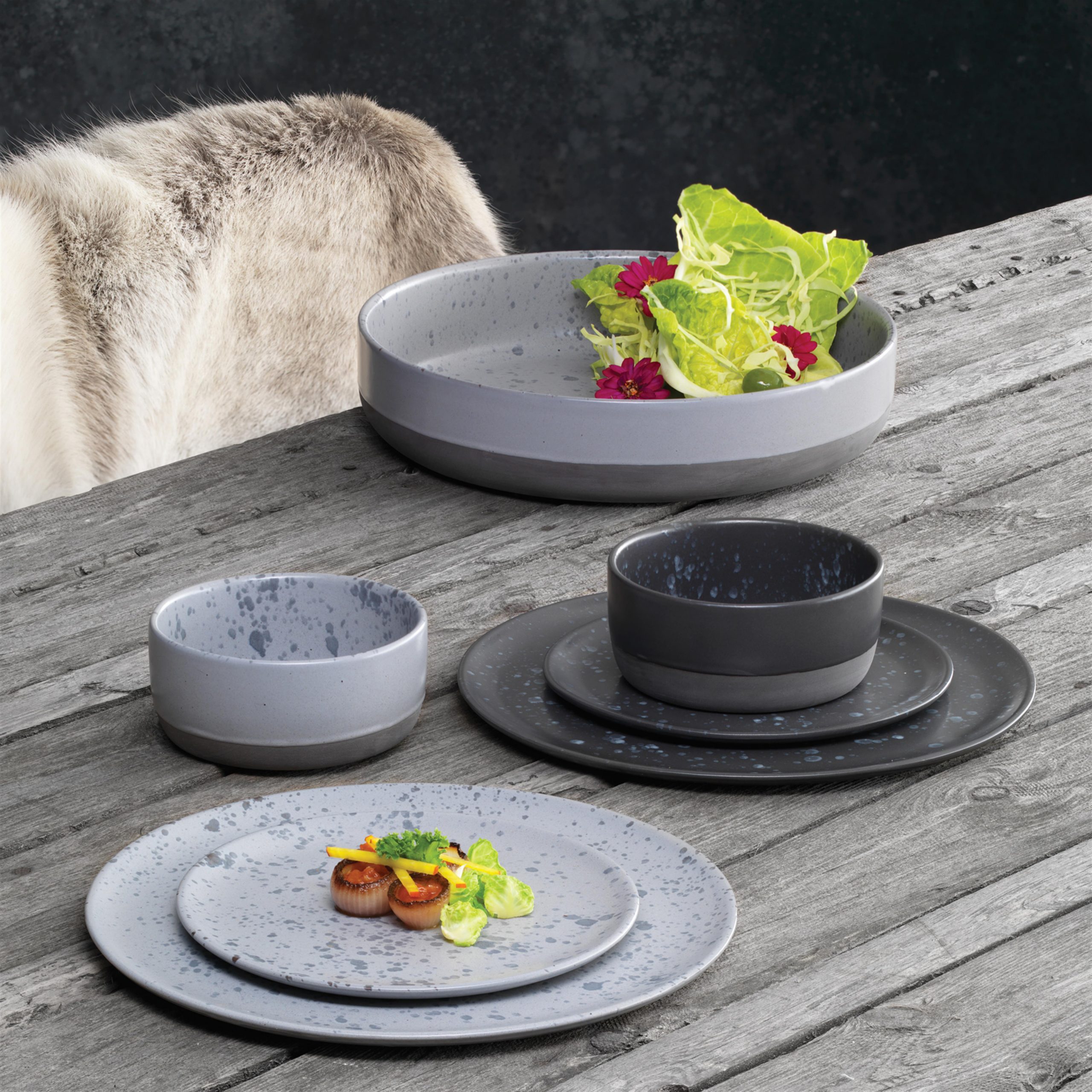cm Aida Shop on store our Ø20 | sale Welcome to Aida Raw online plate